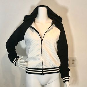Essential Spring Sporty Bomber Jacket
